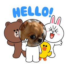 [LINEスタンプ] 天使のチワワシリーズ
