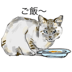[LINEスタンプ] 猫たちのスタンプ☆