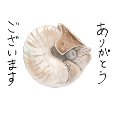 [LINEスタンプ] 趣深い海の生き物