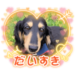 [LINEスタンプ] 〜アリエルの日常〜