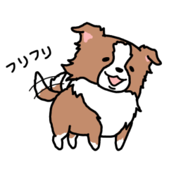 [LINEスタンプ] ボーダーコリーの日常用手描き挨拶スタンプ