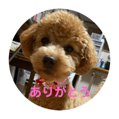 [LINEスタンプ] cocoa1004の画像（メイン）