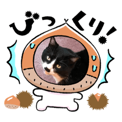 [LINEスタンプ] お疲れ様2