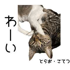 [LINEスタンプ] とらおとこてつの日常①