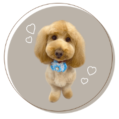 [LINEスタンプ] ♡みほ様