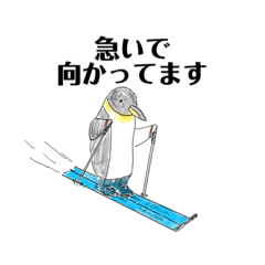 [LINEスタンプ] 銀次ペンギンスタンプ01