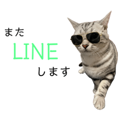 [LINEスタンプ] ジィルスタンプ⑦