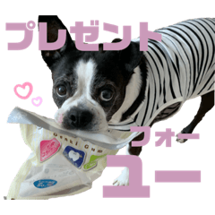 [LINEスタンプ] いろんなトトちゃん