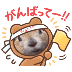 [LINEスタンプ] リチャードソンジリスのくるみ