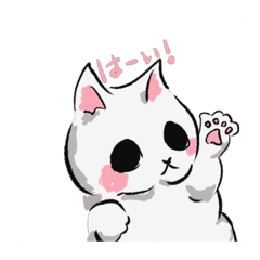 [LINEスタンプ] 白 猫ちゃんスタンプ