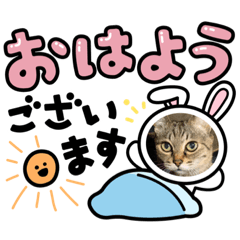 [LINEスタンプ] 可愛いセナちゃんꕤ