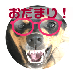[LINEスタンプ] 4つ目のラッキーちゃん4