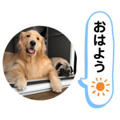 [LINEスタンプ] さぶと大福