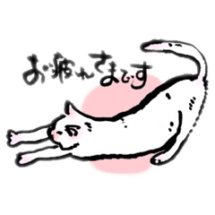 [LINEスタンプ] 白ねこおとこくんのあいさつスタンプ