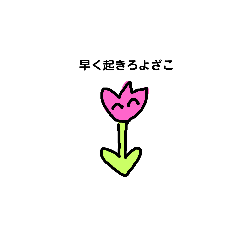 [LINEスタンプ] 毎日きょむきょむ