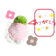 [LINEスタンプ] ⭐︎ひよこクラブ✴︎