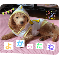 [LINEスタンプ] coco1004-3