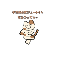 [LINEスタンプ] お調子者のねこちゃんだよ