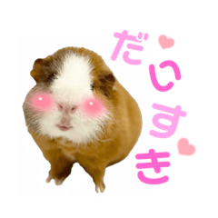 [LINEスタンプ] ちり助とカーリーFamily♡