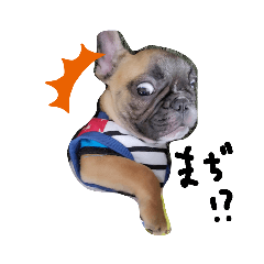 [LINEスタンプ] フレブル♡♡にっくん