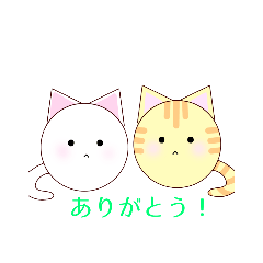 [LINEスタンプ] 【毎日】真ん丸！白猫ちゃん×トラ猫くん