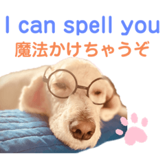 [LINEスタンプ] MAX おしゃべり犬