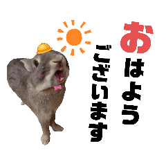 [LINEスタンプ] うさぎのうーたん第⑥弾 丁寧なことば