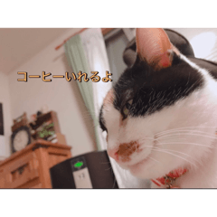 [LINEスタンプ] まるとかい！