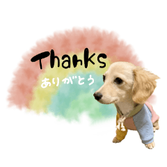 [LINEスタンプ] ♡ゆりあ様