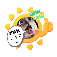 [LINEスタンプ] 猫のテン子の日常スタンプ