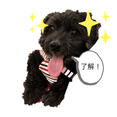 [LINEスタンプ] ゆめきん2