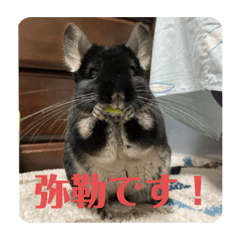 [LINEスタンプ] 弥勒スタンプ①