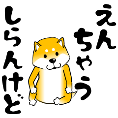 [LINEスタンプ] 真・激しく尻尾をふる柴犬 4【関西弁】の画像（メイン）