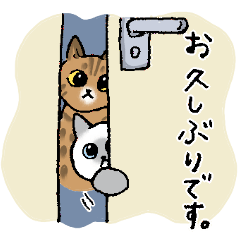 [LINEスタンプ] 【敬語】猫なのに丁寧 -シャムとキジトラ-