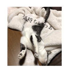 [LINEスタンプ] 我が家の可愛いぽぽ