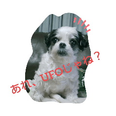 [LINEスタンプ] coco nuts