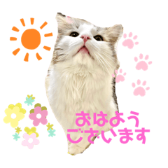 [LINEスタンプ] こうめさん①