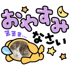 [LINEスタンプ] ペットの居る暮らし
