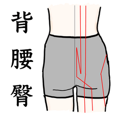 [LINEスタンプ] 鍼灸師用！背中・腰・臀部のツボスタンプ！