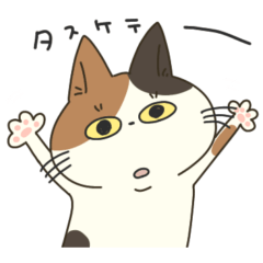 [LINEスタンプ] ギラついている猫たち