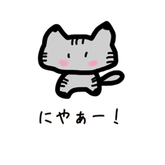 [LINEスタンプ] 猫ちゃん(●︎´▽︎`●︎)