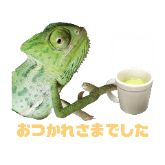 [LINEスタンプ] エボシのカメレオン②