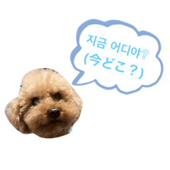 [LINEスタンプ] ふわふわ財閥3