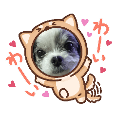 [LINEスタンプ] coco＆nuts2