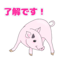 [LINEスタンプ] ぶたさん返信用スタンプ