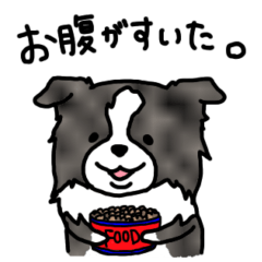 [LINEスタンプ] ブルーマールボーダーコリーの日常スタンプ