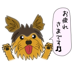 [LINEスタンプ] いつでも！ヨーキー♡