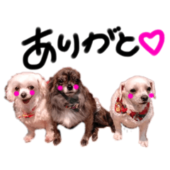 [LINEスタンプ] ひめらぶさくら