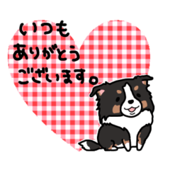 [LINEスタンプ] トライカラーの犬の日常挨拶スタンプ