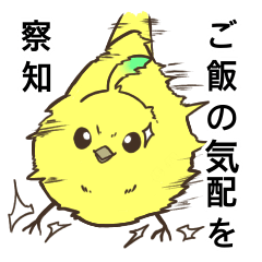 [LINEスタンプ] カラ鳥の挨拶スタンプ